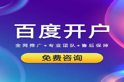 百度推广费用的投入与市场占有率提升的关联案例